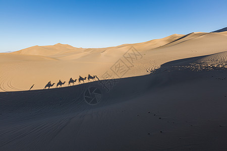 敦煌飞天沙漠驼队背景