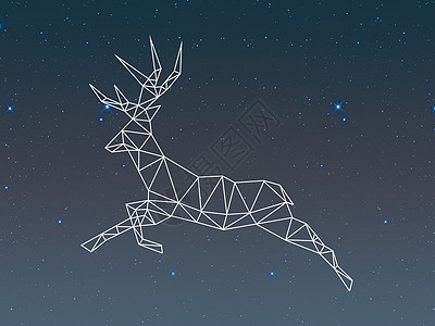 在星空下奔跑的鹿背景图片