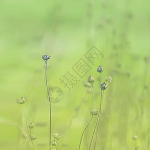 荒野求生海报走进自然背景