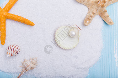夏日沙滩珍珠贝壳海星素材背景