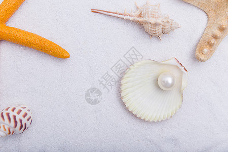 夏日沙滩珍珠贝壳海星素材图片