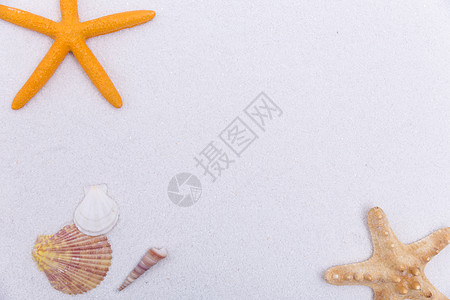 夏日海滩白沙海螺海星素材背景图片