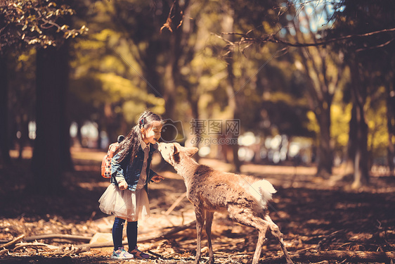 儿童与小鹿图片