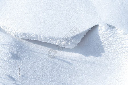 雪地枯草大雪纹理高清图片