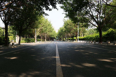 道路 街道  夏天背景图片