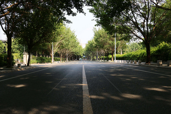 道路 街道  夏天图片