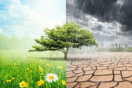 雨季和干旱图片