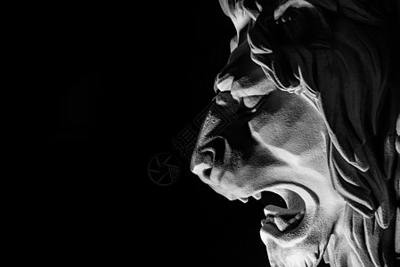 狮子雕塑狮子黑白高清图片