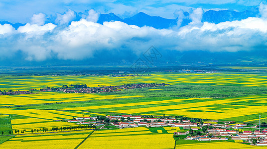 天空白云油菜花田中的村庄背景