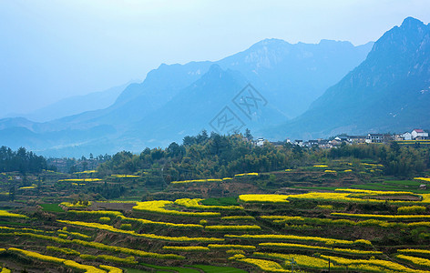 欧家梯田安徽家朋背景