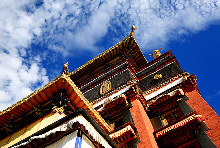 美丽端庄的西藏蓝背景图片