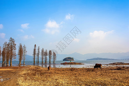 浙江四明湖图片