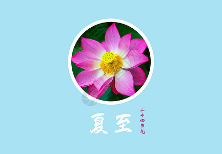 二十四节气 夏至 图片