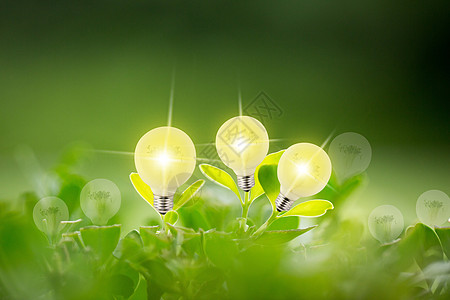植物灯泡创意图图片