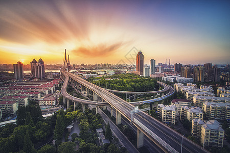 杨浦大桥背景