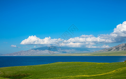 蓝天白云绿草地新疆风光背景