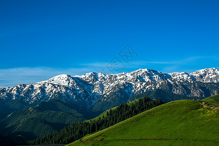 蓝天白云绿草地新疆草原风光背景