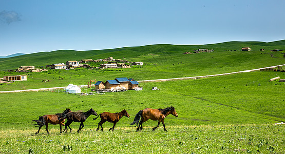 新疆风情策马崩腾的夏季新疆大草原背景