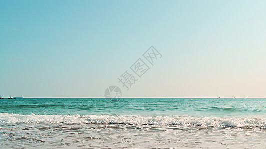 海仙花一望无际的海边背景