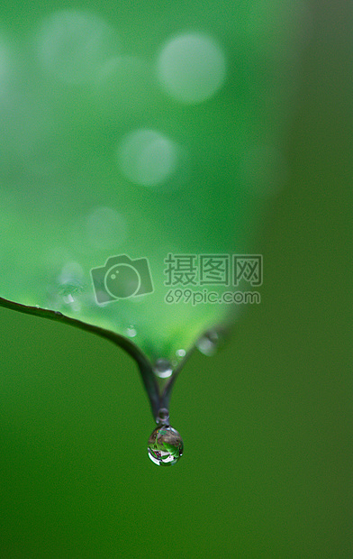 后一场雨图片