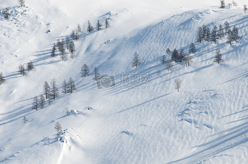 山野雪原图片