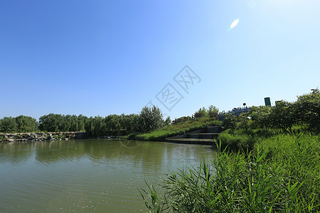 西安浐灞国家湿地公园背景图片