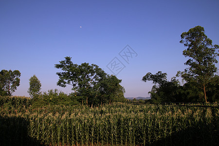 月是故乡明故乡的蓝天背景