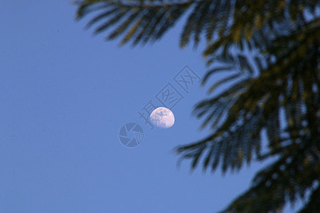 月是故乡明背景图片