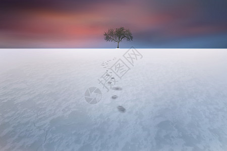 雪地图片