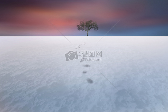 雪地图片