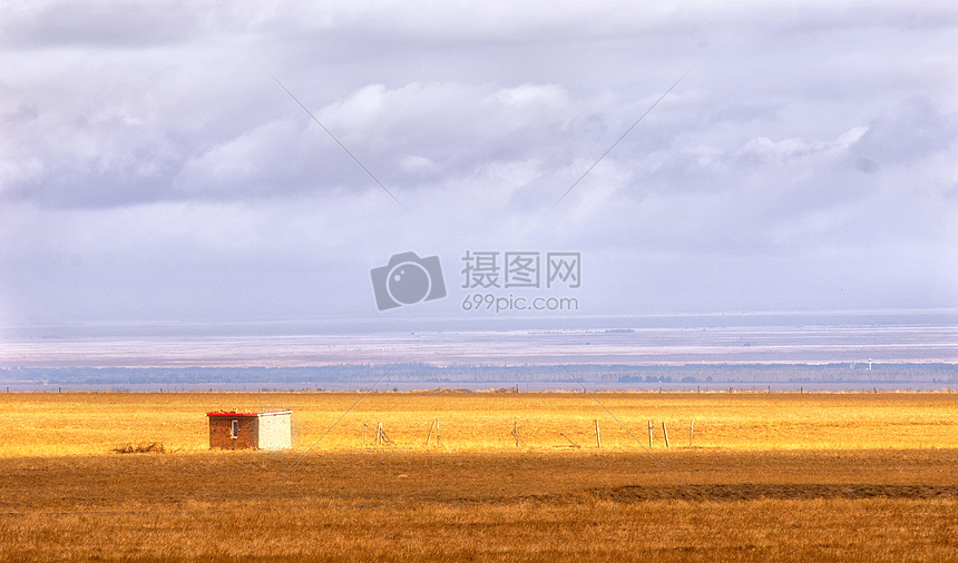 新疆草原金黄色图片