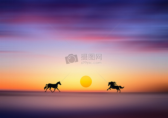 夕阳下尽情奔跑的马图片