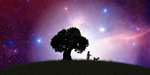 星空下的草地大树小孩与狗图片