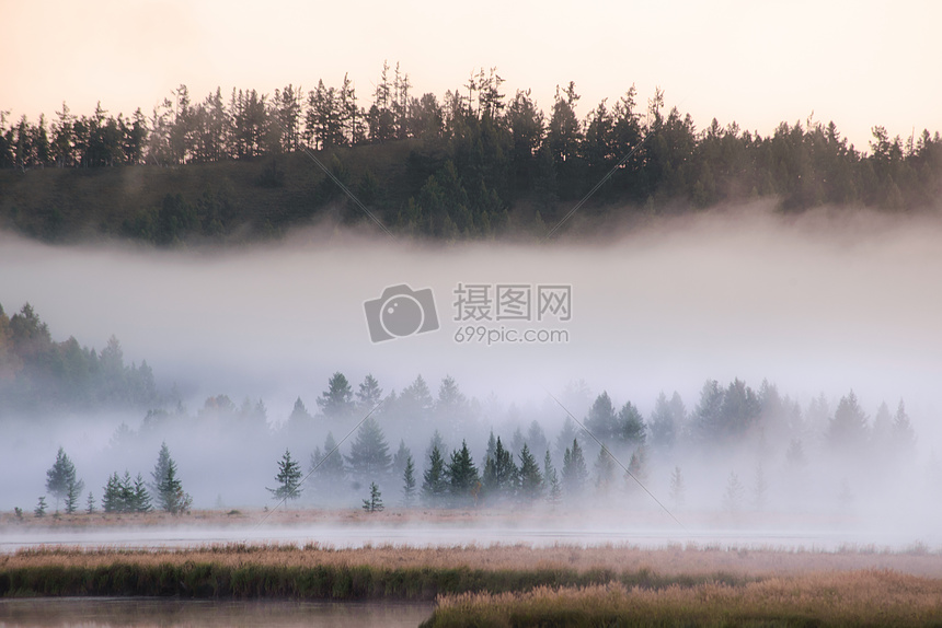 森林朦胧晨雾图片