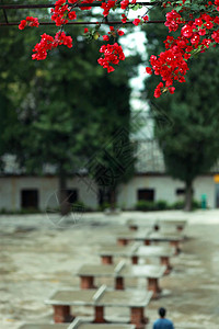 夏天的雨夏日的校园背景