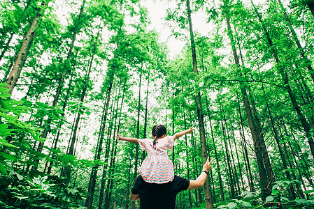 森林中父亲节父女背影背景