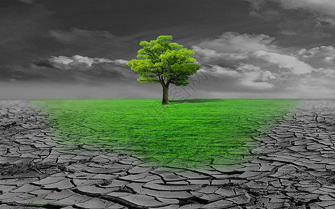 世界防治荒漠化和干旱日图片