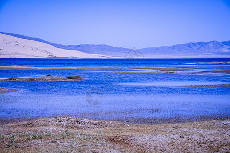 青海湖图片