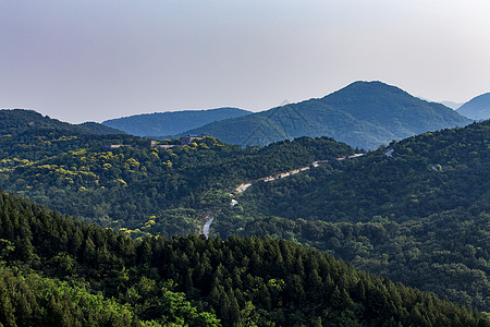 百望山森林公园大自然的百望山背景