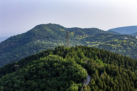 百望山森林公园大自然的百望山背景