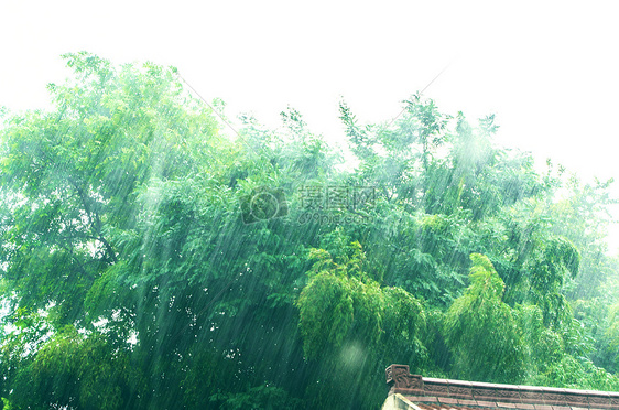 夏天午后的暴雨图片