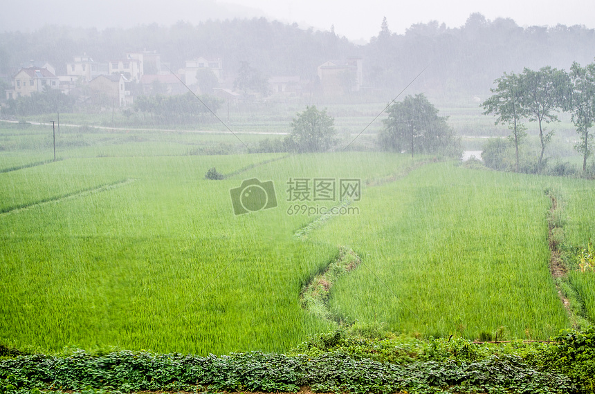 夏天午后的暴雨图片