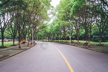 停车场马路绿色高清图片