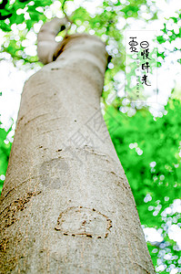 缤纷夏日文字夏日慢时光背景