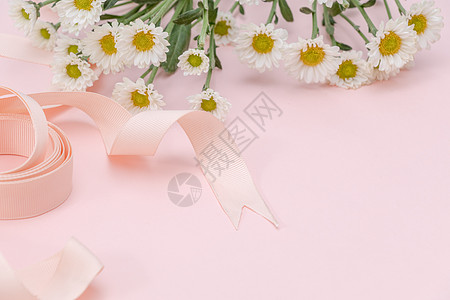菊花png粉色雏菊丝带背景元素留白背景