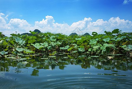 夏天的普者黑图片