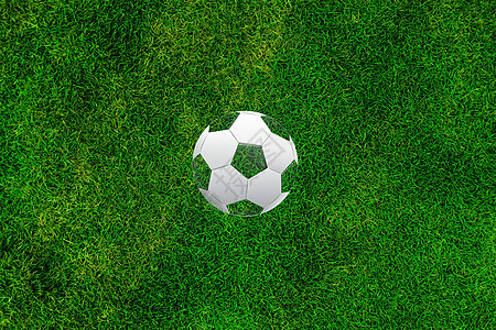 绿荫足球背景图片