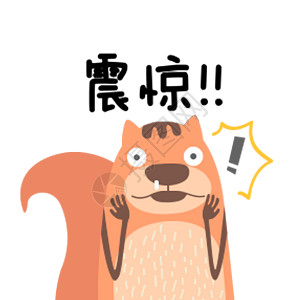 卡通管理者松鼠记账表情包背景