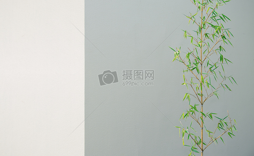 墙面竹子背景图片