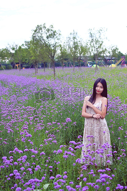 上海薰衣草园的美女写真图片